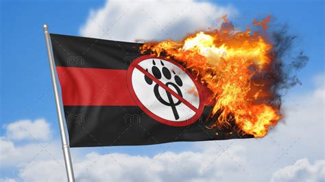 furry flag|furry flag burning.